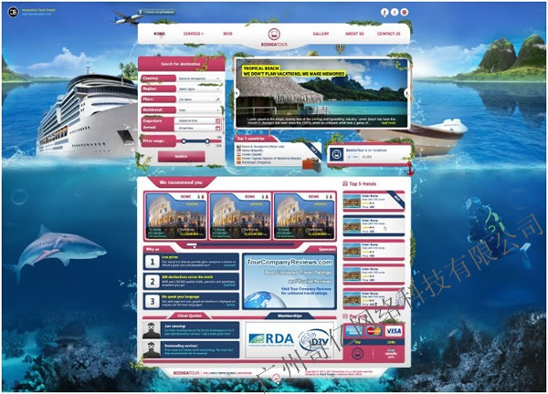 ξW(wng)վO(sh)Ӌ--|www.fancydns.com